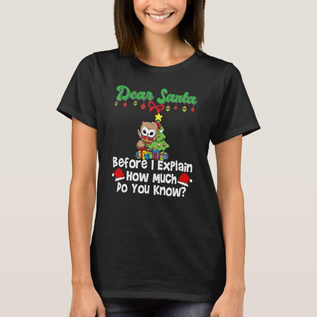 Camiseta Dear Santa Before I Explain How Much Do You Know_1 (Anverso)