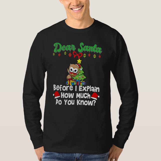 Camiseta Dear Santa Before I Explain How Much Do You Know_1 (Anverso)
