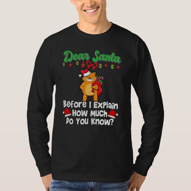Camiseta Dear Santa Before I Explain How Much Do You Know_3 (Anverso)