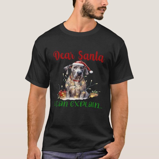 Camiseta Dear Santa I Can Explain Great Dane Essential T-Sh (Anverso)