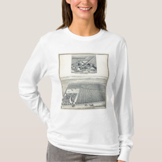 Camiseta Deardorff y viñedos centenarios, California