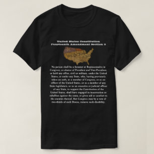 Camiseta Decimocuarta enmienda a la Constitución de los Est