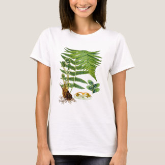 Camiseta Decoración antigua del verde del ilustracion del
