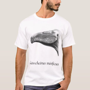 Camiseta Deinocheirus