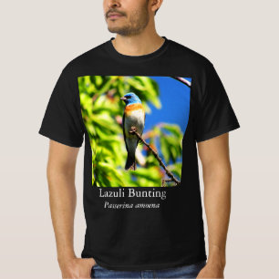 Camiseta del Azulillo Pintado