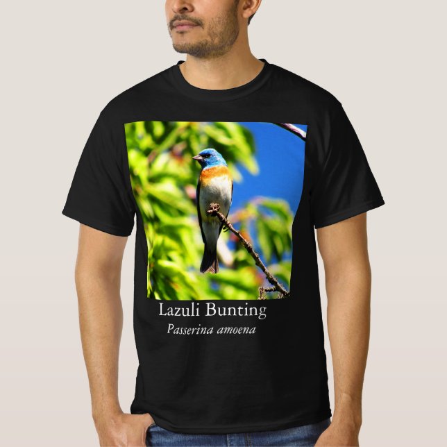 Camiseta del Azulillo Pintado (Anverso)