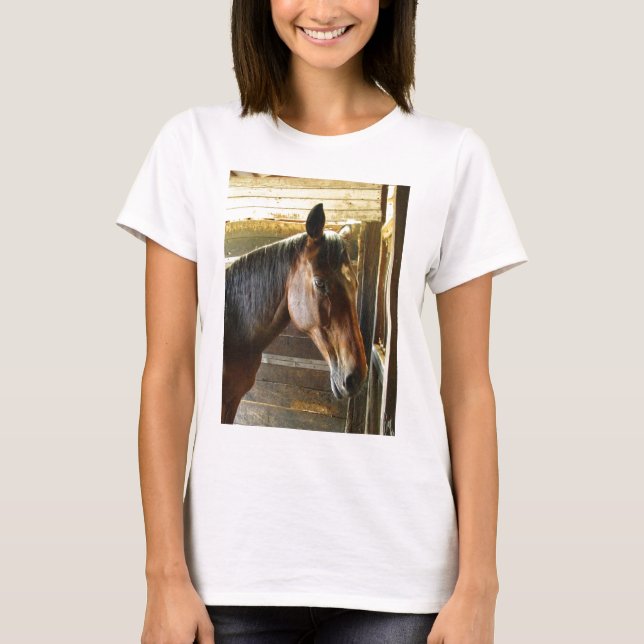 Camiseta del caballo (Anverso)