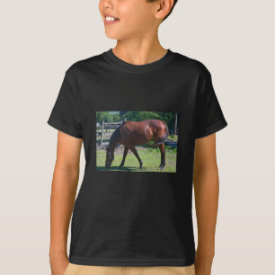 Camiseta del caballo del niño 100_0830-1
