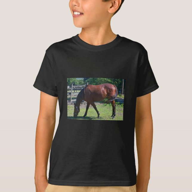 Camiseta del caballo del niño 100_0830-1 (Anverso)