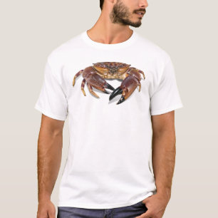Camiseta del cangrejo de piedra de la Florida