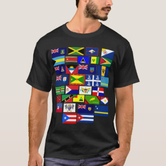Camiseta del Caribe