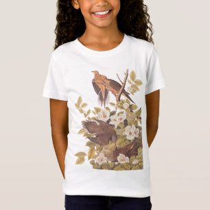 Camiseta del Chica Carolina Turtle Dove