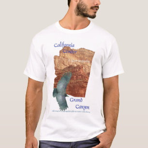 Camiseta del cóndor