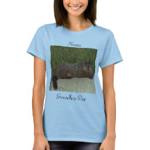 Camiseta del Día de la marmota