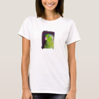 Camiseta del duende malicioso