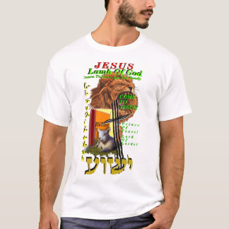 Camiseta del Evangelio, Camiseta con imagen del Ev