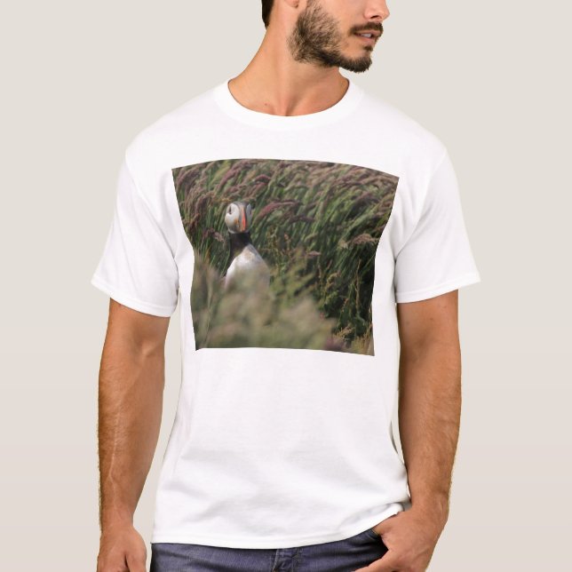 Camiseta del frailecillo de la hierba (Anverso)