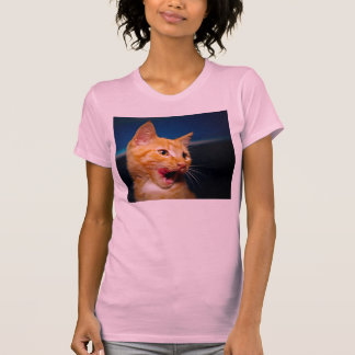 Camiseta del gato de Tabby