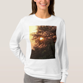 Camiseta del grupo Satyam