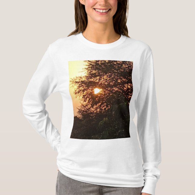 Camiseta del grupo Satyam (Anverso)