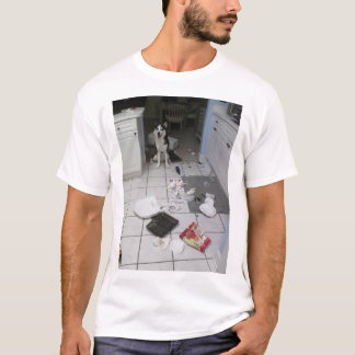 Camiseta del husky siberiano