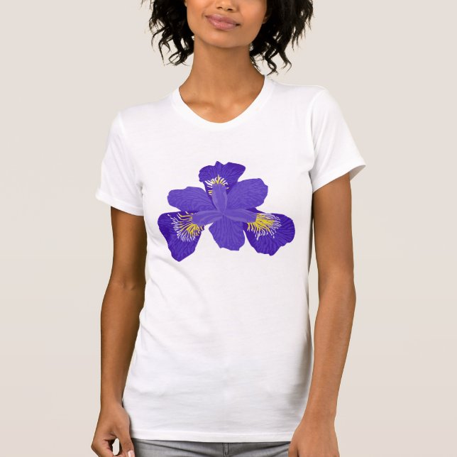 Camiseta del iris (Anverso)
