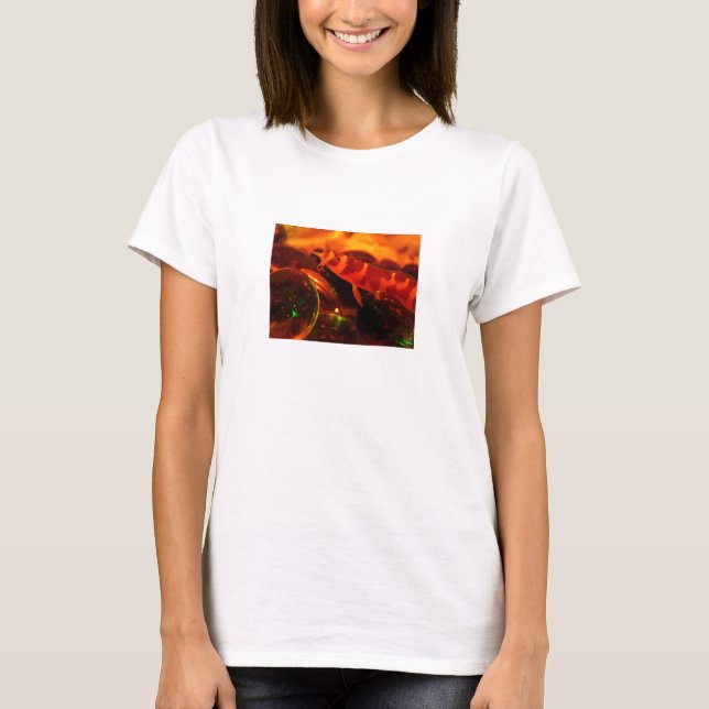 Camiseta del Loach de Kuhli (Anverso)