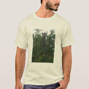 Camiseta del mapache