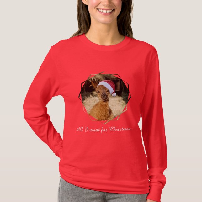 Camiseta del navidad de la alpaca (Anverso)