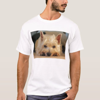 Camiseta del oeste linda del perro de Terrier de