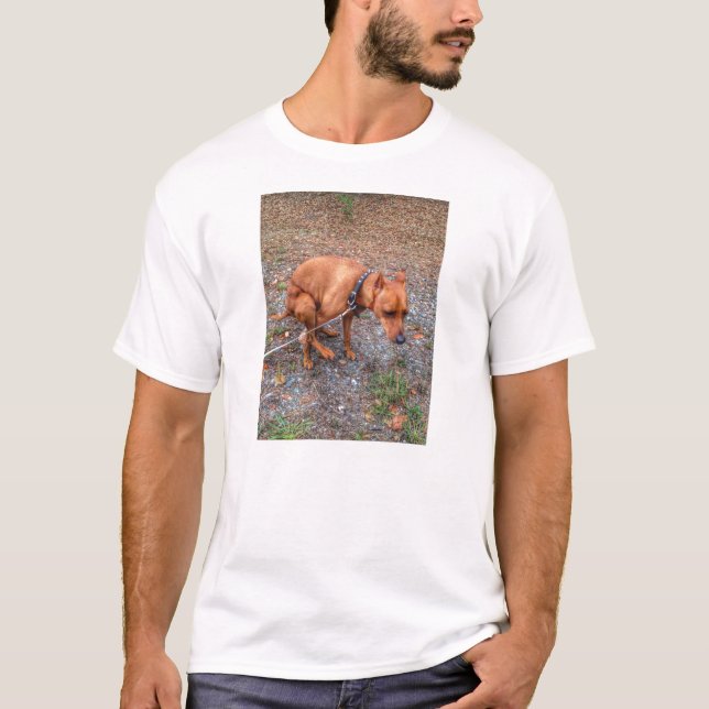 Camiseta del Pin del minuto de los chuchos de (Anverso)