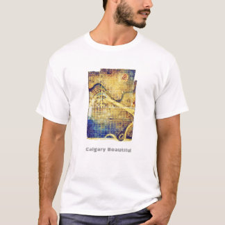 Camiseta del plan de Mawson