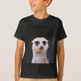 Camiseta del puesto de observación de Meerkat