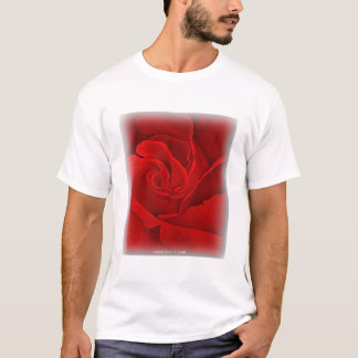Camiseta del rosa rojo