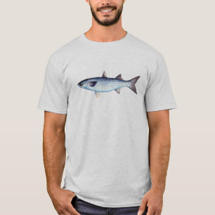 Camiseta del salmonete