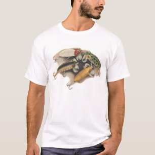 Camiseta del señuelo de Jitterbug
