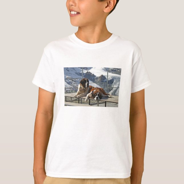 camiseta del st bernard (Anverso)