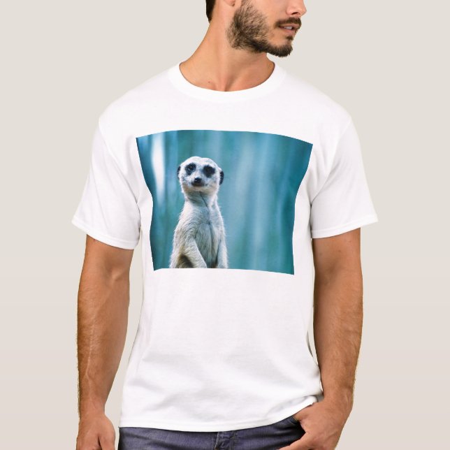 Camiseta del Staredown de Meerkat (Anverso)