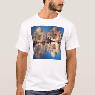 Camiseta del Taj Mahal