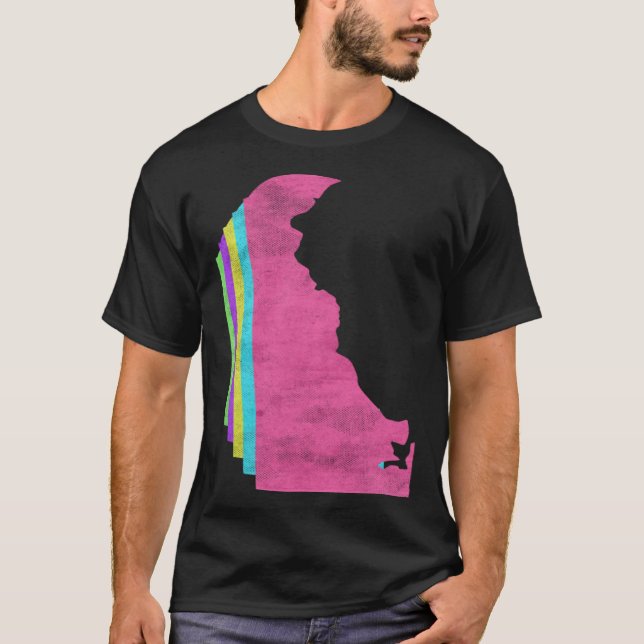 Camiseta Delaware USA 80s Colors 1980s (Anverso)