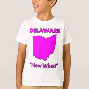 Camiseta Delaware - ¿Y ahora qué?