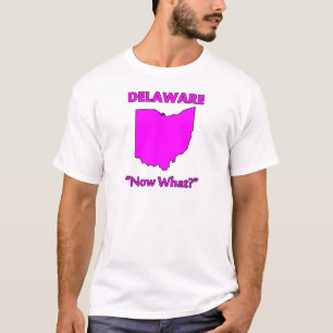 Camiseta Delaware - ¿Y ahora qué?