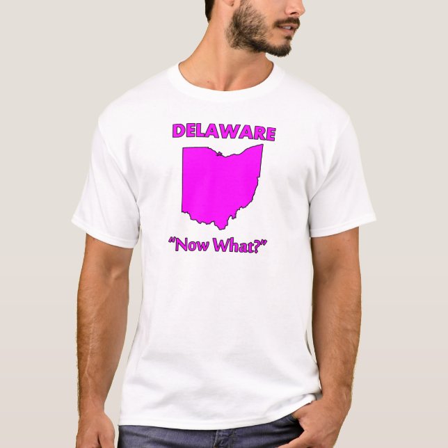Camiseta Delaware - ¿Y ahora qué? (Anverso)