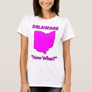 Camiseta Delaware - ¿Y ahora qué?