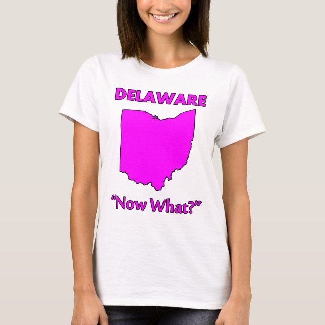 Camiseta Delaware - ¿Y ahora qué? (Anverso)