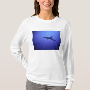 Camiseta Delfín