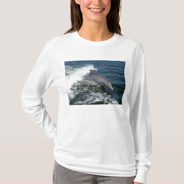 Camiseta Delfín de Bottlenose (Anverso)