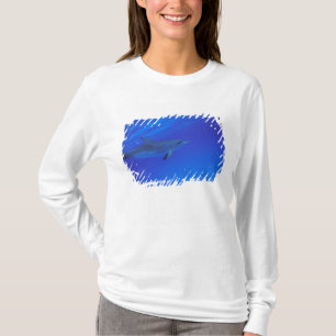 Camiseta delfín manchado del Caribe, Bahamas