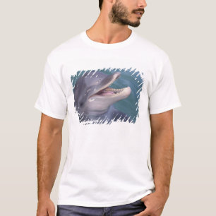 Camiseta delfín mular del Caribe
