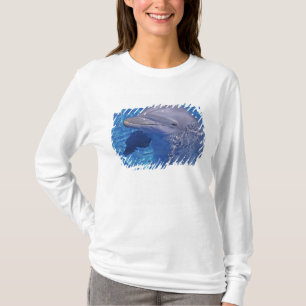 Camiseta Delfín Mular, Tursiops Truncatus